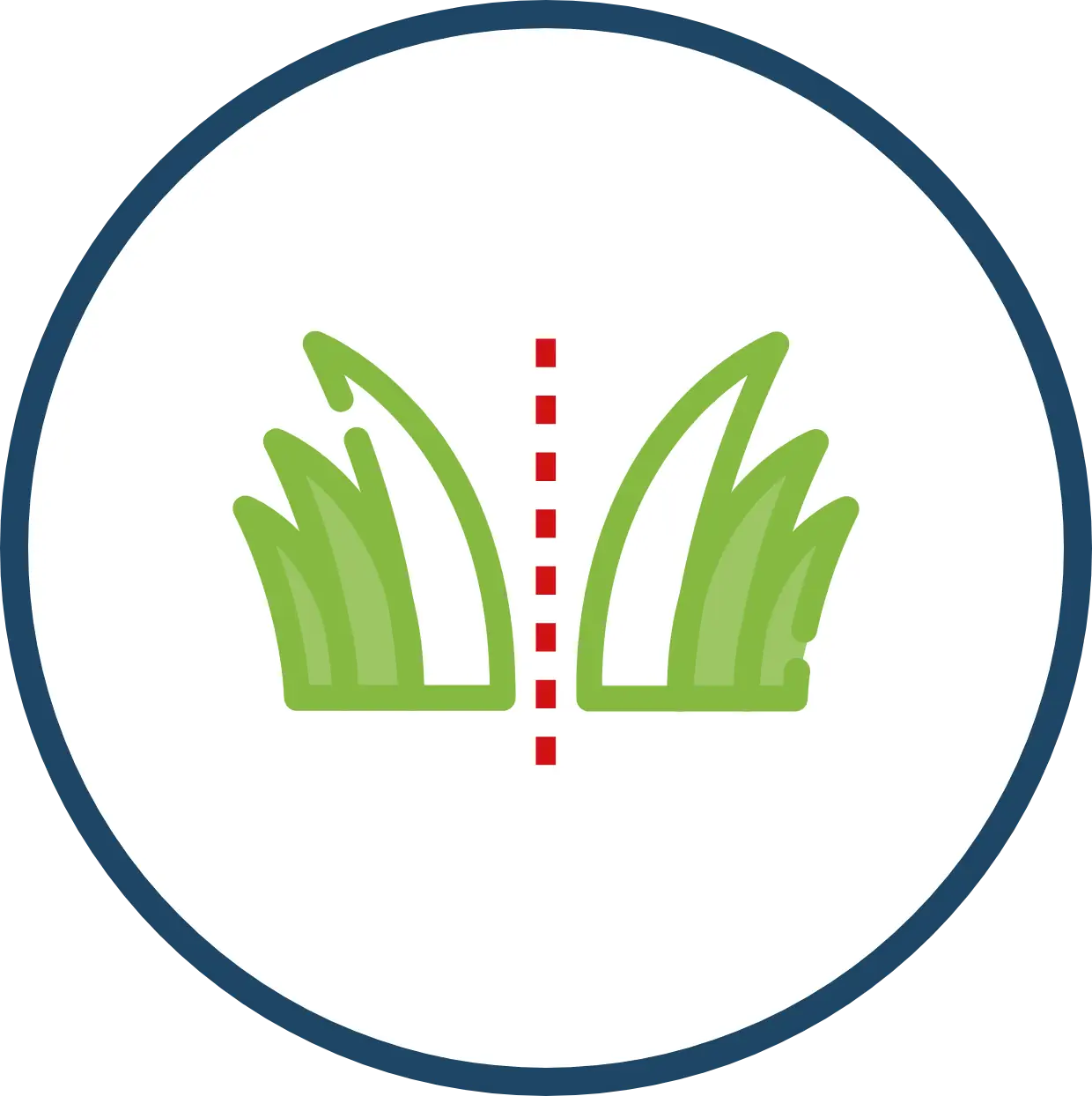 Seam Separation